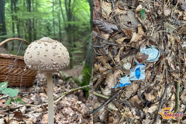 FOTO: Ali smo res postali tako neodgovorna družba? Smeti na Goričkem kar med gobami