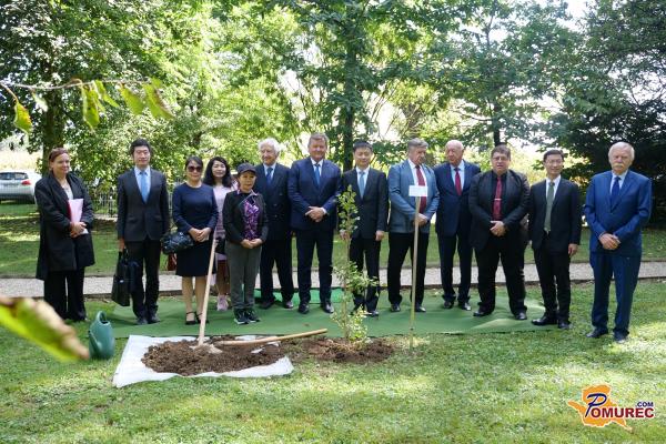 FOTO in VIDEO: Petanjci obeležili zgodovinski trenutek z zasaditvijo ginka iz Kitajske