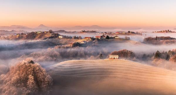 Haloze – ko povezovanje gradi turizem