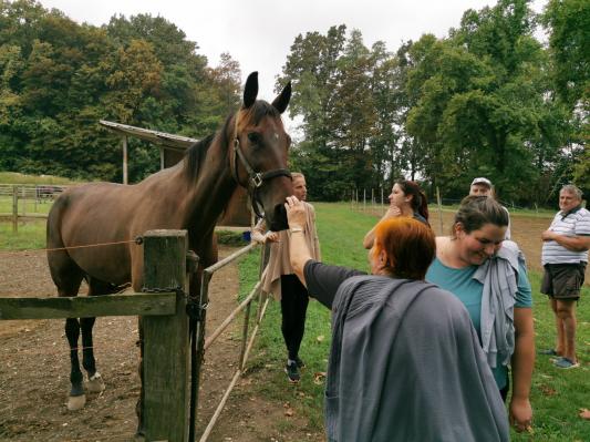 FOTO: Dom starejših Kuzma na izletu v Ljutomer