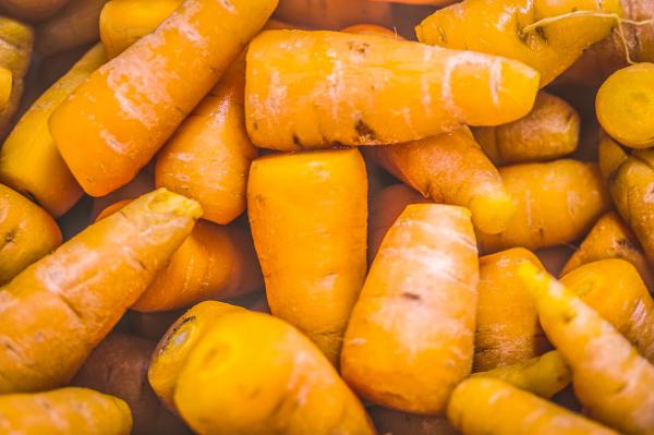 To korenje predstavlja nevarnost za otroke in dojenčke