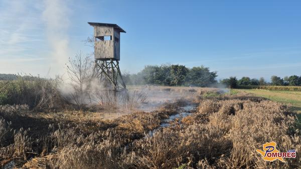 VIDEO: Kaj bruha iz vrtine v Rakičanu? Kmetje opozarjajo na škodo