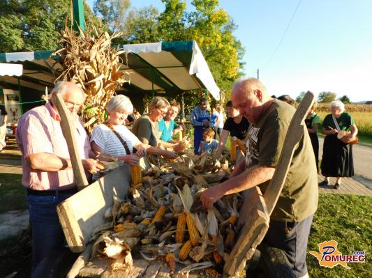 FOTO: Kožühaje koruze na Cvenu že 26 let povezuje generacije