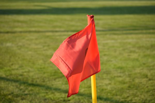 Trener Hodoša kaznovan z dvema tekmama prepovedi