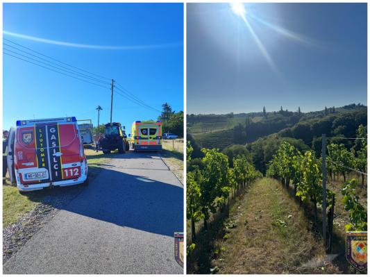 Huda nesreča v vinogradu: traktor zdrsnil, tri osebe poškodovane