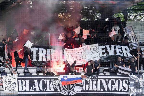 Sever je nazaj, Black Gringosi se vračajo