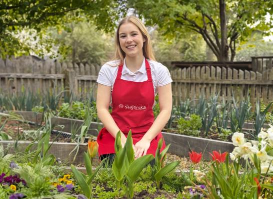 Spletna tržnica Štajerske - vstopite v svet lokalnih doživetij