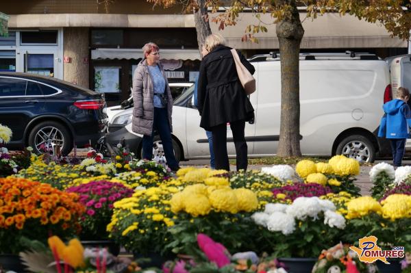 VIDEO: Pomurci izbirajo cvetje za praznik