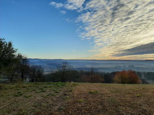 Sončna nedelja, jutro pa bo marsikje meglena