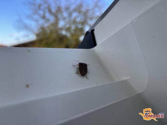 Tako se boste rešili nadležnih smrdljivcev