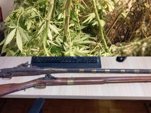 Policisti na Goričkem zasegli drogo in orožje