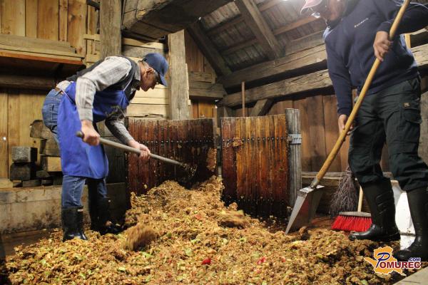 FOTO in VIDEO: V Sovjaku znova obudili tradicijo kučeja jabolk