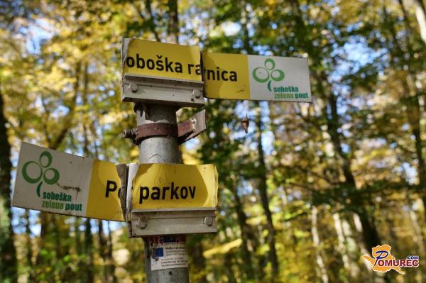 VIDEO: Fazanerija kliče po obnovi, poškodovana infrastruktura in zanemarjene poti