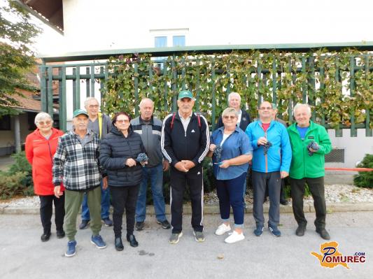 FOTO: Društvo vinogradnikov in sadjarjev Turnišče je opravilo trgatev grozdja žametne črnine