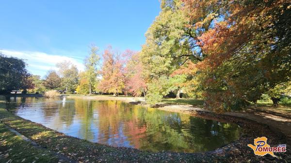 FOTO in VIDEO: Jesenske barve Murske Sobote