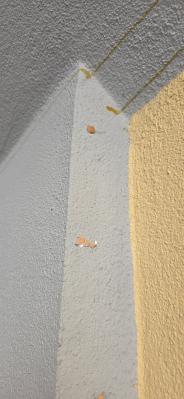 Leljak: »Če vas motim jaz, mečite jajca vame, ne v to, kar ustvarjamo skupaj«