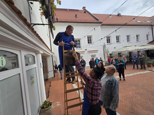 FOTO: V Ljutomeru obirali potomko najstarejše trte na svetu