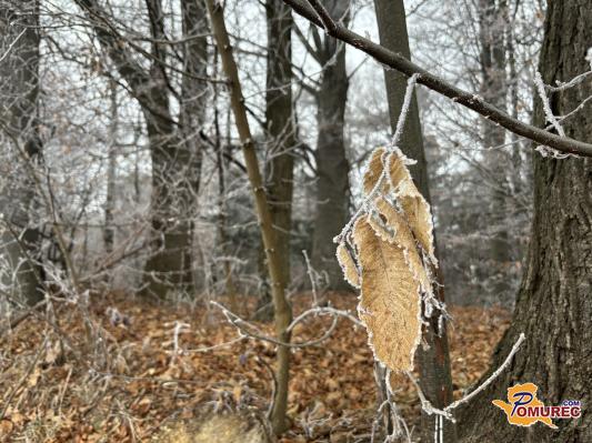 V Pomurju temperatura padla pod ničlo