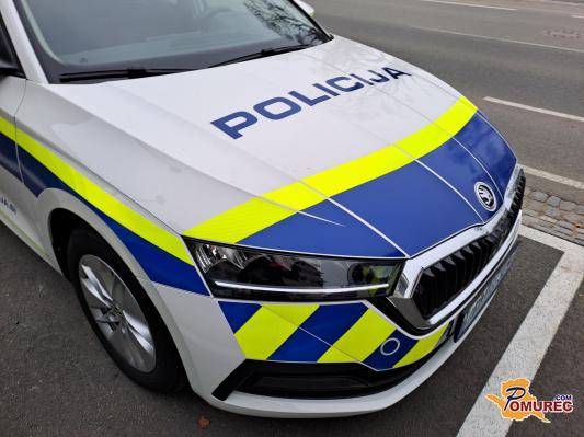 Vlada vpoklicala pomožne policiste