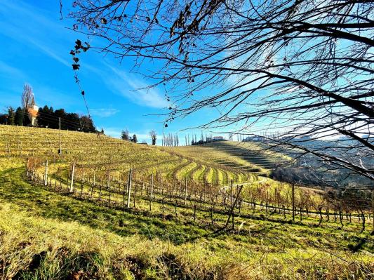 Jeruzalem dobiva novo turistično podobo