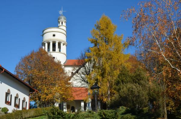 VIDEO: Bela golobica v Bogojini še vedno navdušuje