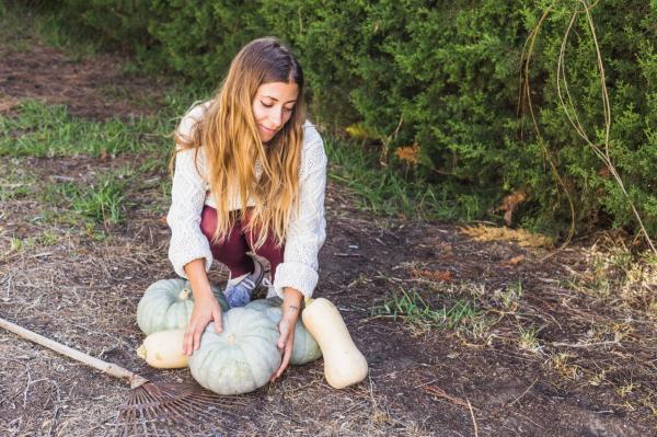 Kako izbrati pravi dan za sajenje konec oktobra?