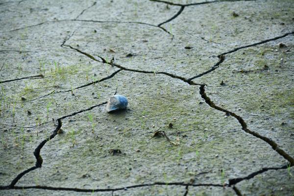 Slovenijo popoldne stresel šibek potresni sunek
