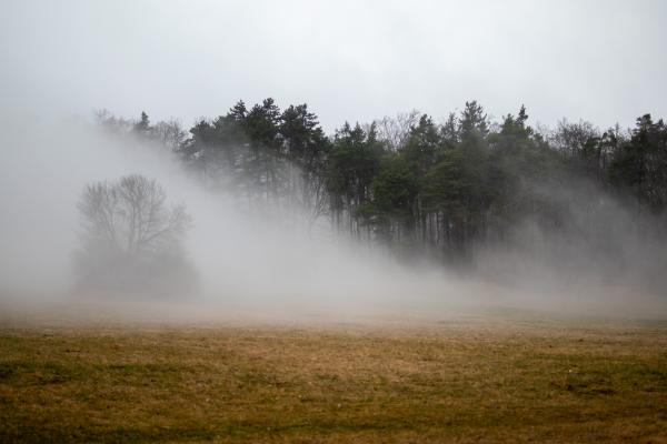 Megla se ne bo hitro poslovila