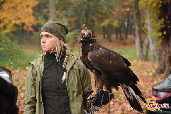 VIDEO: Sokoli ponovno poleteli nad Beltinci