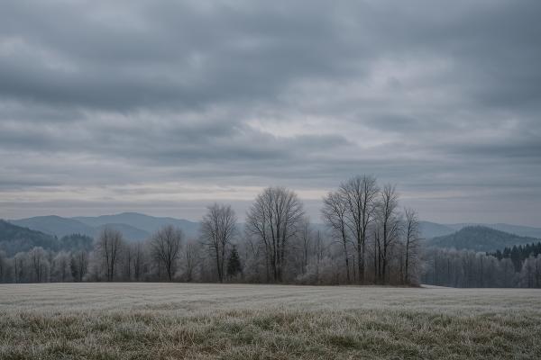 Bo februar mrzel? Namig daje že današnji dan