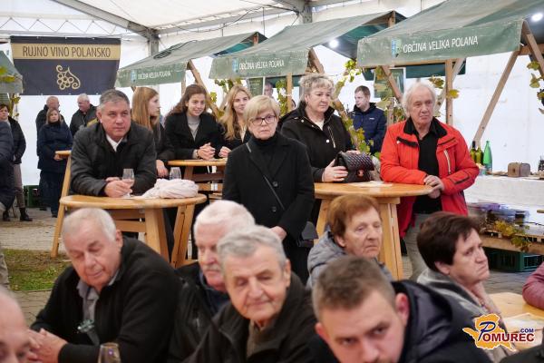 FOTO in VIDEO: Tako so martinovali v Veliki Polani