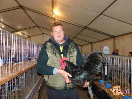 FOTO: Na mednarodni odranski razstavi malih živali predstavljenih kar 604 živali