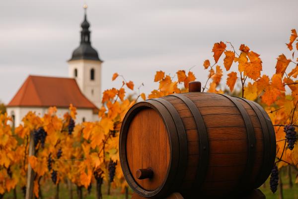 Kaj pravi vreme na Martinovo o prihajajoči zimi? Stara modrost razkriva namig