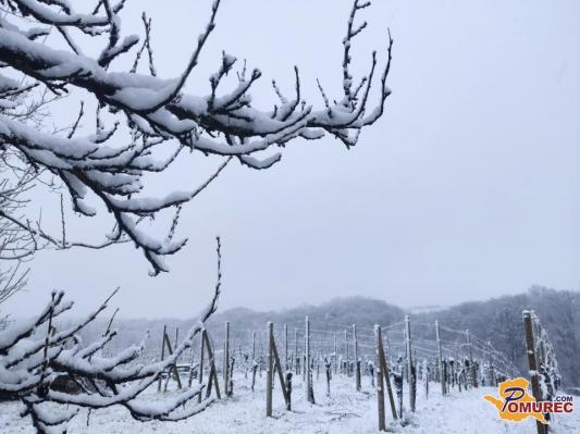 Čaka nas sprememba vremena z možnostjo snega do nižin