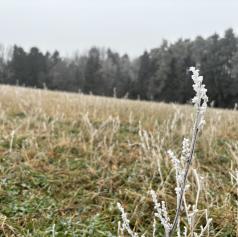Bo danes sončno jesensko vreme?