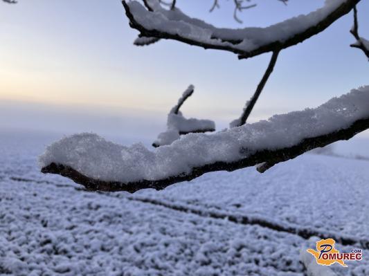 Prihaja vremenski preobrat: Dežne kaplje bo zamenjal sneg