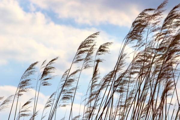 Vetroven začetek tedna, prihajajo nove padavine