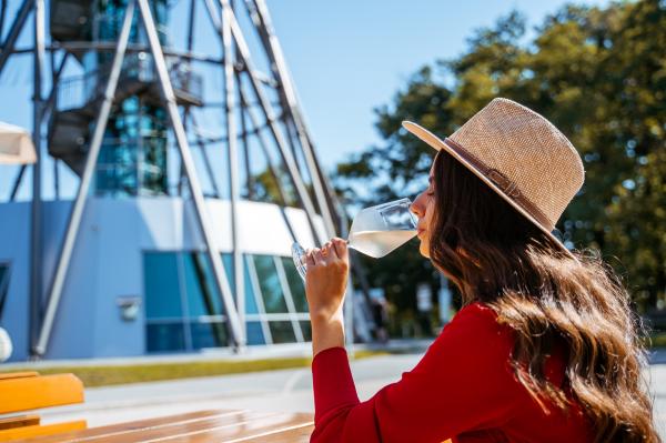 Lendava v znamenju tradicije in novega lendavskega vina