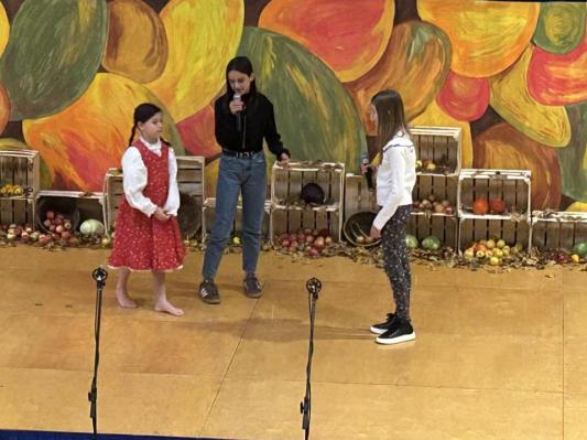 Prijetno srečanje starejših v Rogašovcih