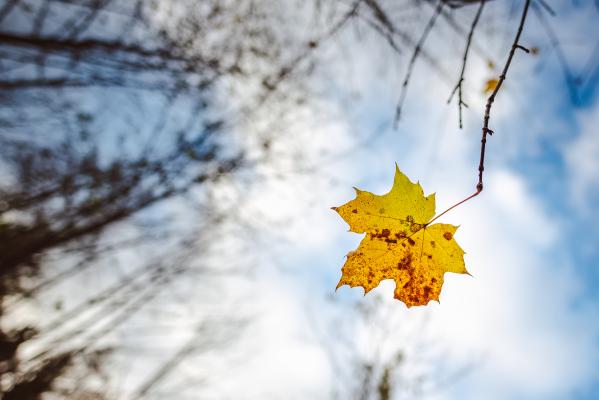 Nadpovprečno toplo do ponedeljka, nato nas čaka preobrat