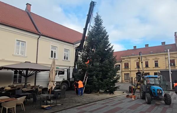 VIDEO: Praznično drevo na Glavnem trgu kot darilo skupnosti