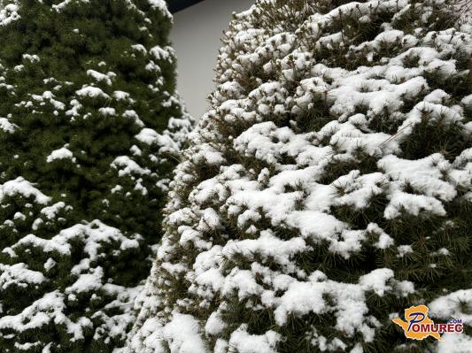 Sneg pobelil del Slovenije. Kakšno vreme nas čaka danes?