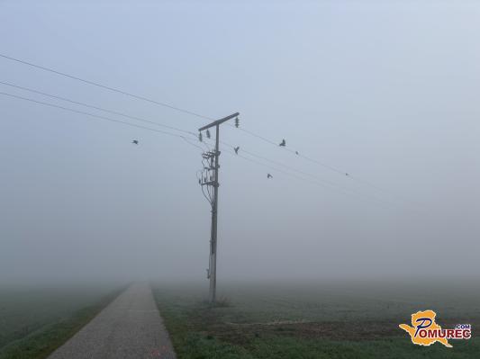 Nas konec tedna nas čaka presenečenje?