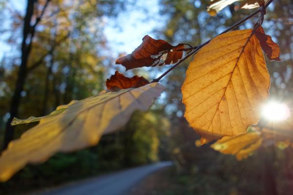 Po obilnih padavinah prihaja bolj stabilno vreme