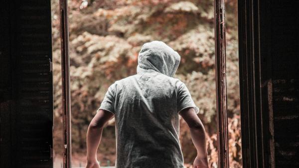 V minulem dnevu v Pomurju tri tatvine