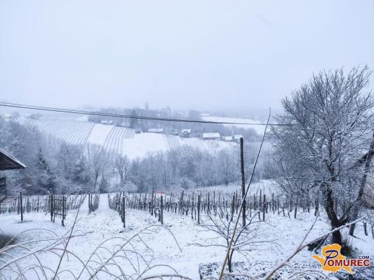 Rumeno opozorilo: Prihajata sneg in močan veter