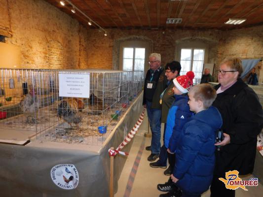 FOTO: V beltinskem gradu predstavili več kot 130 malih živali