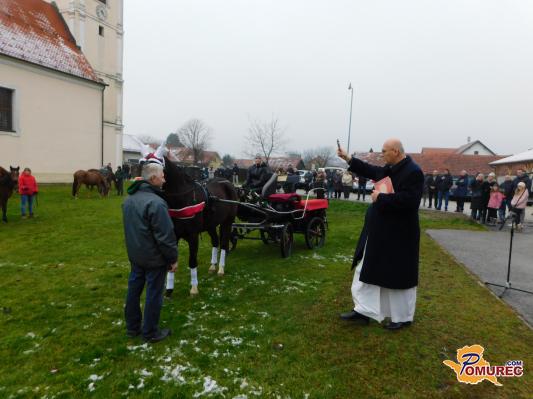 FOTO: Štefanov blagoslov konj v Veržeju