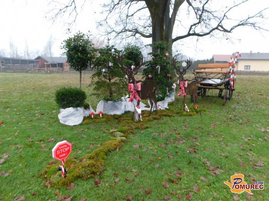 FOTO: Severni jelenčki vlečejo leseni voz, čudovita dekoracija v pomurski vasi