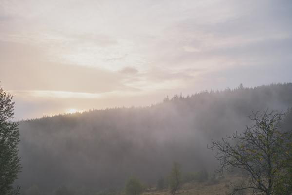 Kdaj se bo megla začela umikati?